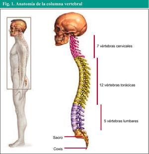 Lesión de músculos de cuello por trabajo