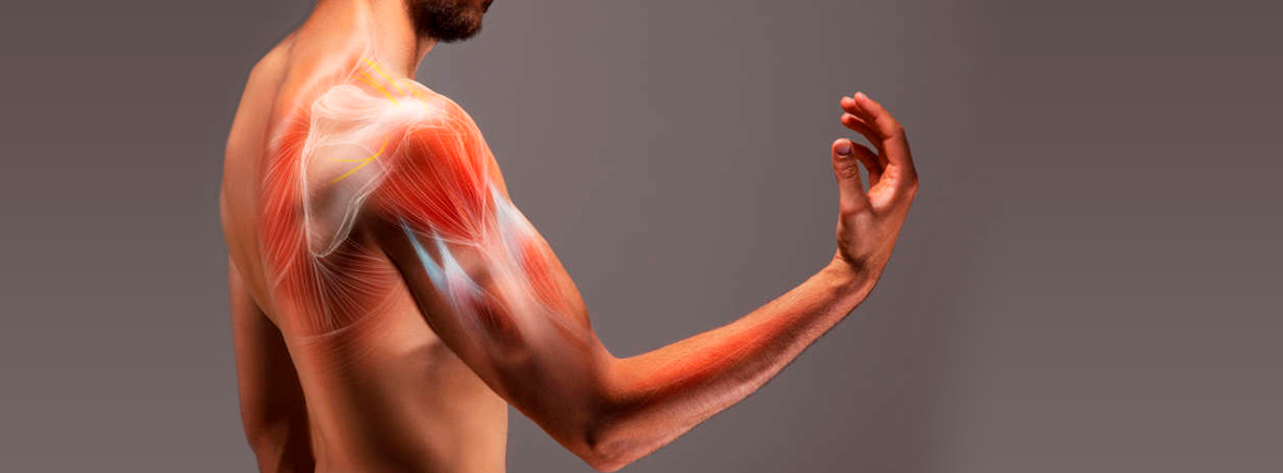 Desgarro de Hombro