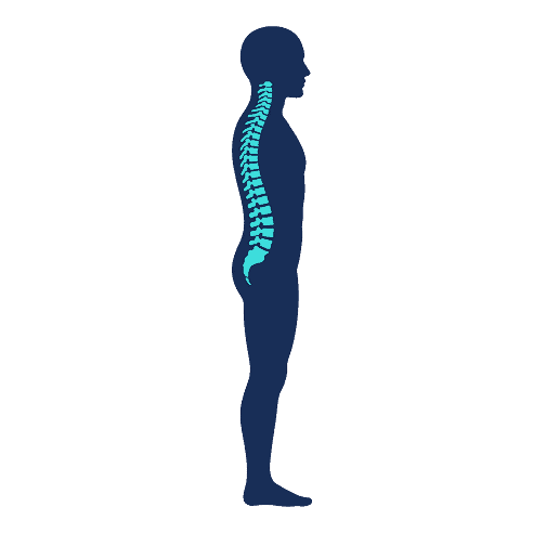 Cirugía de Hombro en Guadalajara | Dr. Esteban Castro - Ortopedia y traumatología | Cirugía articular Inicio
