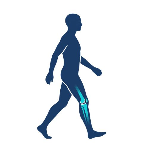 Cirugía de Hombro en Guadalajara | Dr. Esteban Castro - Ortopedia y traumatología | Cirugía articular Inicio